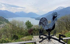 The Happy Rooster - Villa With Big Garden